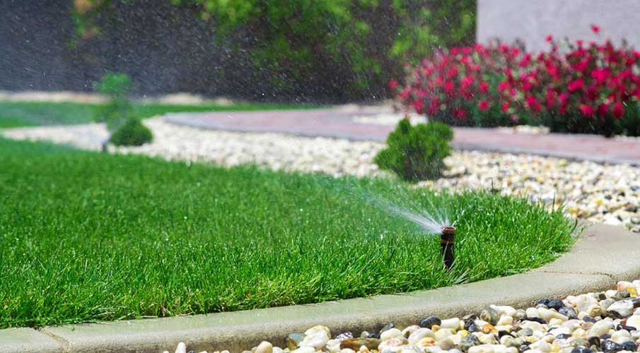 irrigation watering grass for lawn care