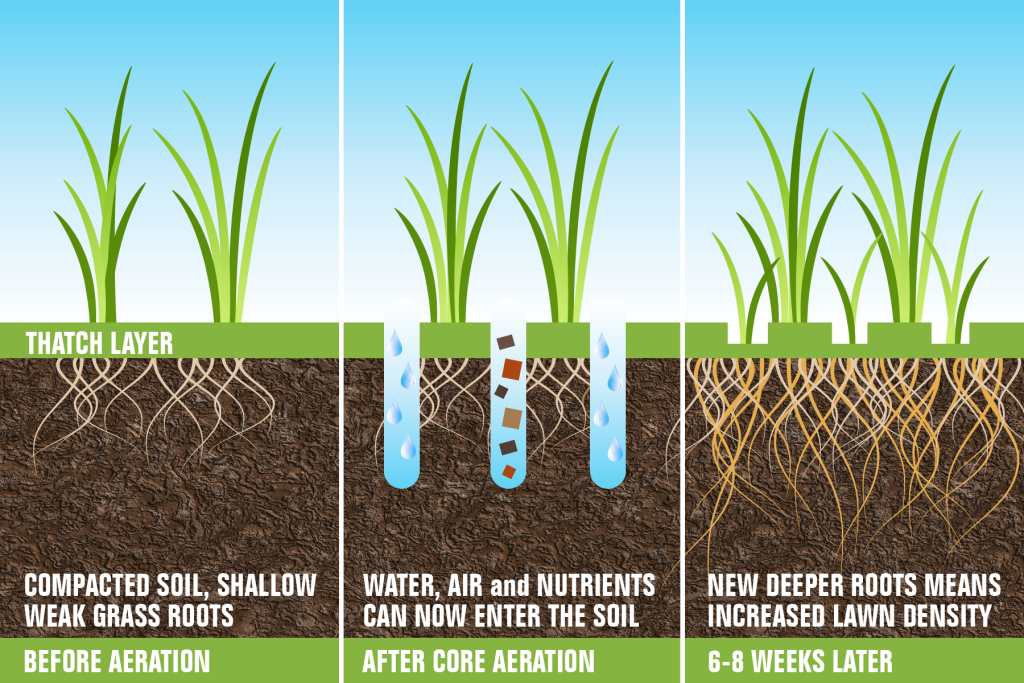 example of how aeration improves nutrient, air, and water absorption by the soil