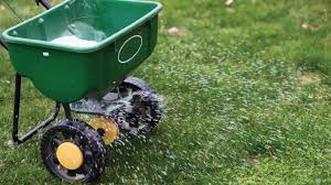 Spreader applying granular fertilizer to lawn