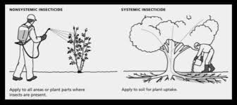 visual of systemic and contact pesticide mode of action
