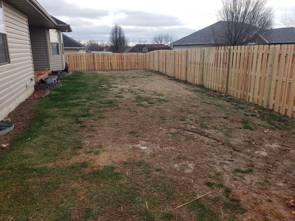 lawn before new sod. little care was done