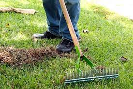 man dethatching lawn with a manual dethatching rake