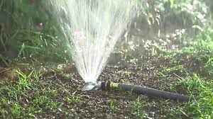 sprinkler watering a fall grass seed planting